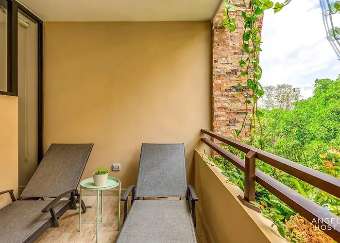 Chic With Roof Pool & Gym Near 5th & Playa del Carmen